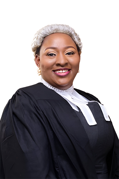 Barr. 'Bidemi Ladokun